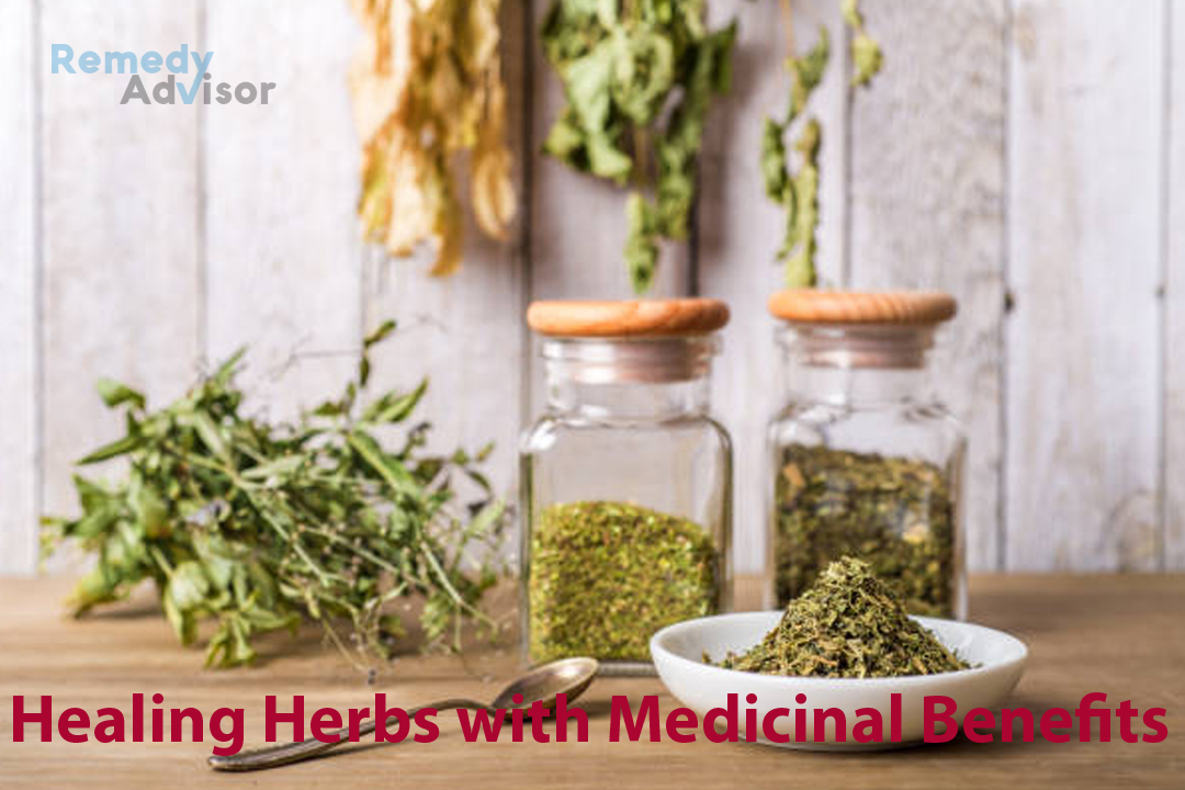 Healing Herbs with Medicinal Benefits Remedy Advisor